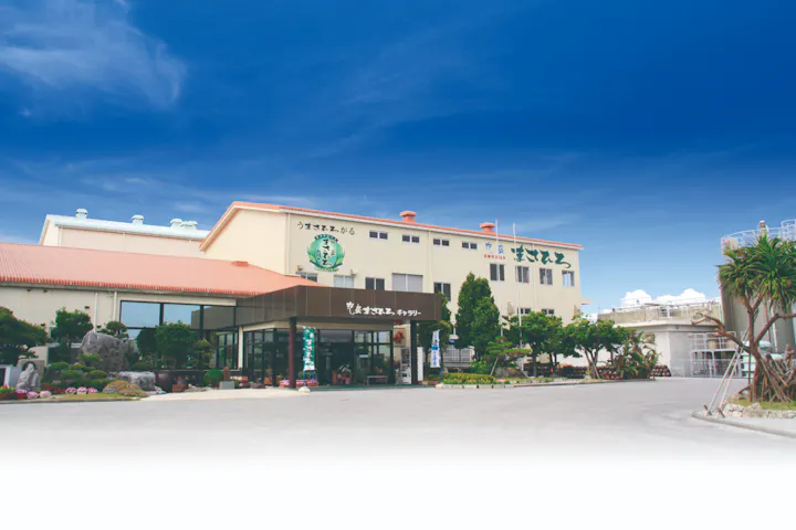 沖縄 日帰りバスツアー 到着後すぐ観光 Dmmかりゆし水族館へ行く ラドクイック号半日観光コース アソビュー