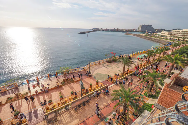 沖縄 日帰りバスツアー 到着後すぐ観光 Dmmかりゆし水族館へ行く ラドクイック号半日観光コース アソビュー