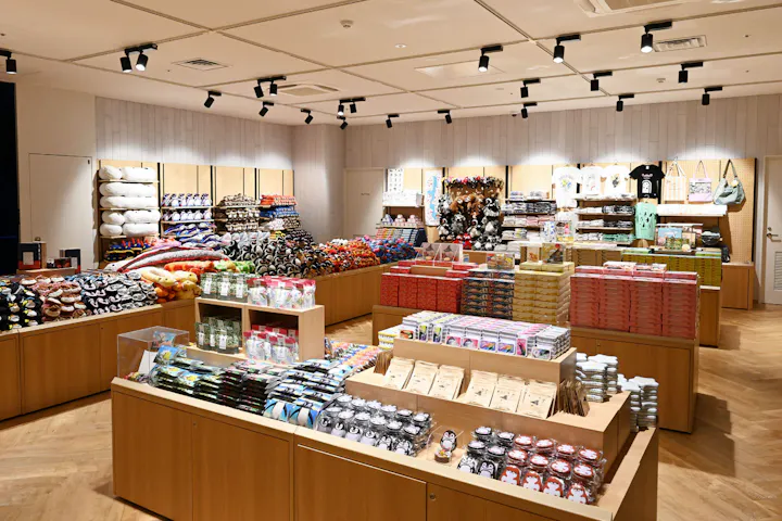 沖縄 日帰りバスツアー 到着後すぐ観光 Dmmかりゆし水族館へ行く ラドクイック号半日観光コース アソビュー