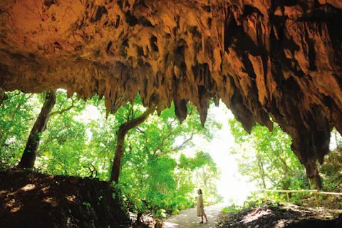 【那覇発/半日南部観光バスツアー日本人バスガイド同行！】ラドＯＳＢ号『斎場御嶽＆ガンガラーの谷ガイドツアー＋ステーキランチ付』