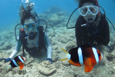 【奄美大島・体験ダイビング】ビーチからゆっくり潜る、安心の体験ダイビング！