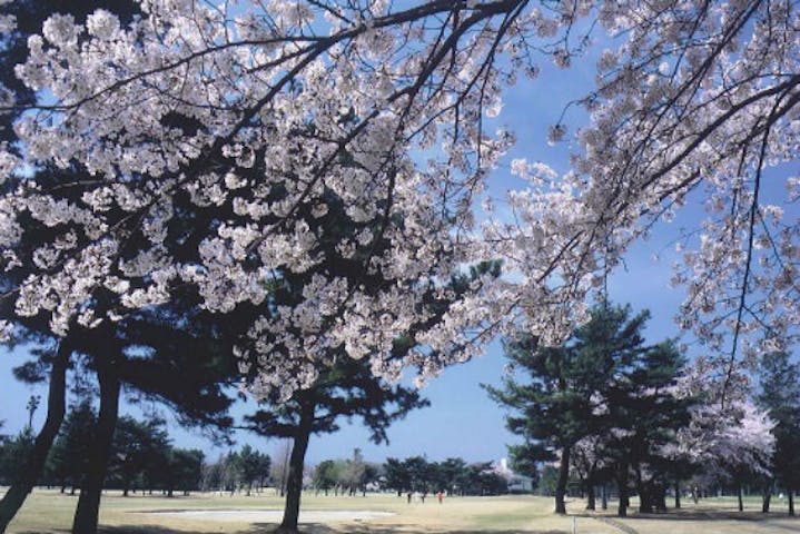 千葉 ゴルフ 初心者でも安心 ゴルフアカデミー認定コーチの指導をオトクに受けよう アソビュー
