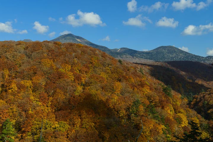 青森県弘前市 観光貸切タクシー ロープウェイから眺める絶景 八甲田山観光ツアー アソビュー