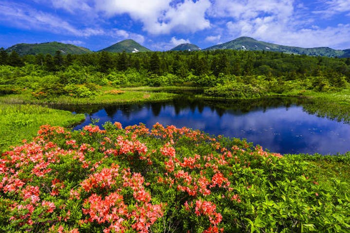 青森県弘前市 観光貸切タクシー グループ旅行にオススメ ジャンボタクシーで行く八甲田山観光ツアー アソビュー