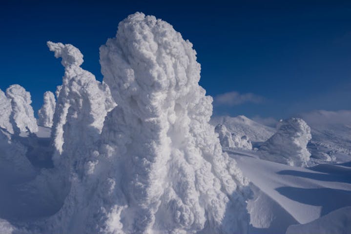 青森県弘前市 観光貸切タクシー ロープウェイから望む雪景色 冬の八甲田山 樹氷鑑賞ツアー アソビュー