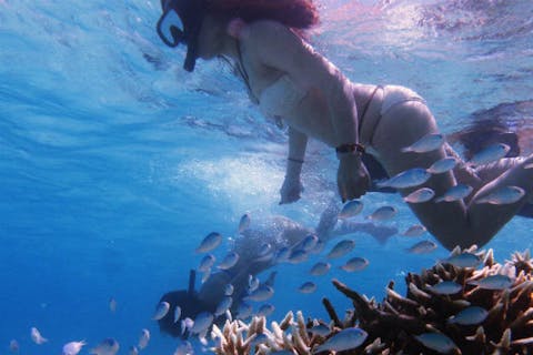 【竹富島・シュノーケル】竹富の海を熟知してるから案内できる、ちょっと刺激的なドリフトシュノーケル！