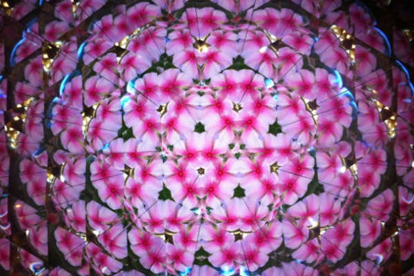 八ヶ岳工房 八ヶ岳工房 (@koumuten.hitori) • Instagram photos and videos