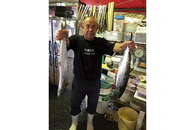 インプリージョンで、大阪の魚市場を見に行こう！