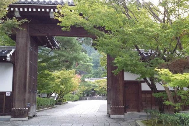 京都文化企画室は、京都市左京区で伝統文化体験を行っています。日舞や茶道を楽しみましょう。