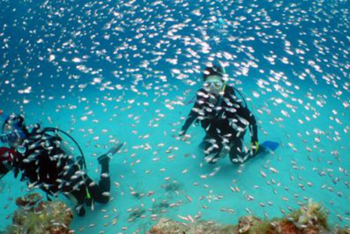 沖縄 水納島 ファンダイビング 海の透明度に感動 水納島 3ボートダイビング アソビュー