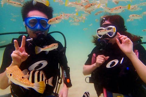 【長崎・壱岐・ダイビング】初心者でも安全に楽しめる！体験ダイビングにチャレンジ