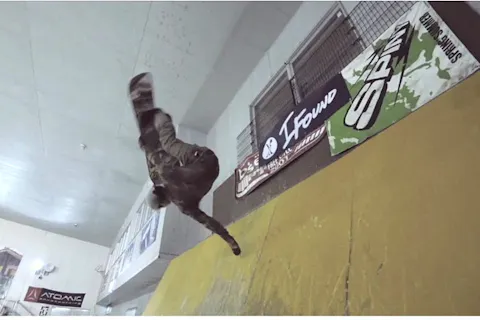 神奈川県 スキー場の遊び体験 日本最大の体験 遊び予約サイト アソビュー