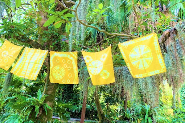 鹿児島市】草木染めハンカチ体験（入園券付き）｜アソビュー！