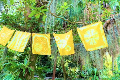 鹿児島市】草木染めハンカチ体験（入園券付き）｜アソビュー！