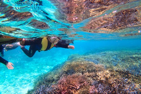 【沖縄・恩納村・シュノーケリング】3歳から参加OK！熱帯魚と遊ぶボートシュノーケリングツアー（学割料金あり）