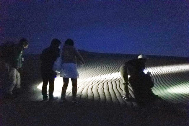 鳥取県 ガイドツアー 神秘的な鳥取砂丘へ 夜の砂丘 ミステリーナイトウォーク アソビュー