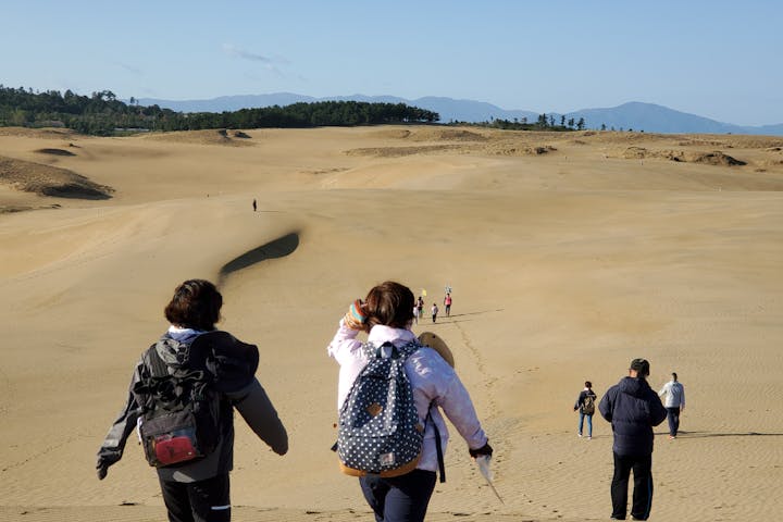 鳥取県 ガイドツアー 美しい砂漠を冒険しよう 鳥取砂丘 自然観察コース アソビュー