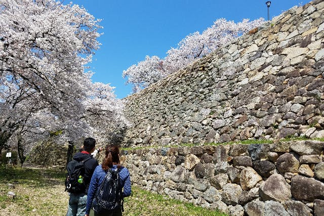 【鳥取県・鳥取城跡・ガイドツアー】石垣に着目しよう！『鳥取城の魅力に迫る』散策ツアー