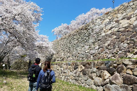 【鳥取県・鳥取城跡・ガイドツアー】石垣に着目しよう！『鳥取城の魅力に迫る』散策ツアー