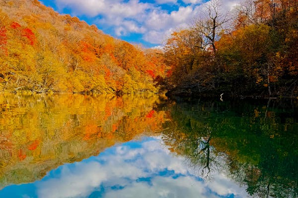 赤い湖面 91cm×122cm 手ぶらでOK】支笏湖 クリアカヤック | 北海道支笏湖のクリアカヤック