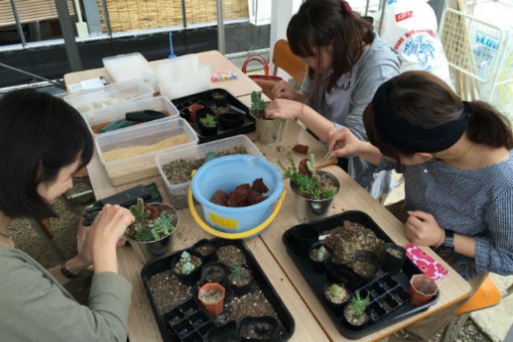 Saiki Engei（サイキエンゲイ）