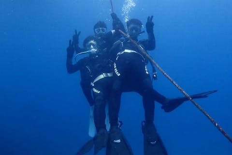 【屋久島・ファンダイビング】魚種の豊富さ魅力の海へFUNダイビング‼楽々2ボート☆追加で3ボートも可能です！
