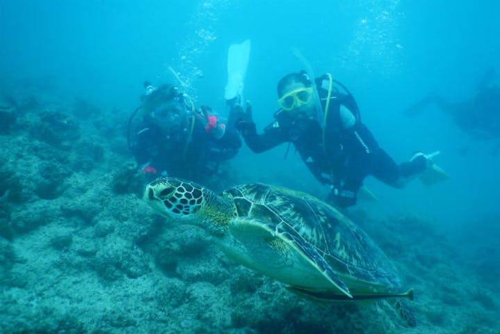 沖縄 石垣島 シュノーケリング 泳げる人も泳げない人も みんな一緒に のんびりツアー 半日 アソビュー