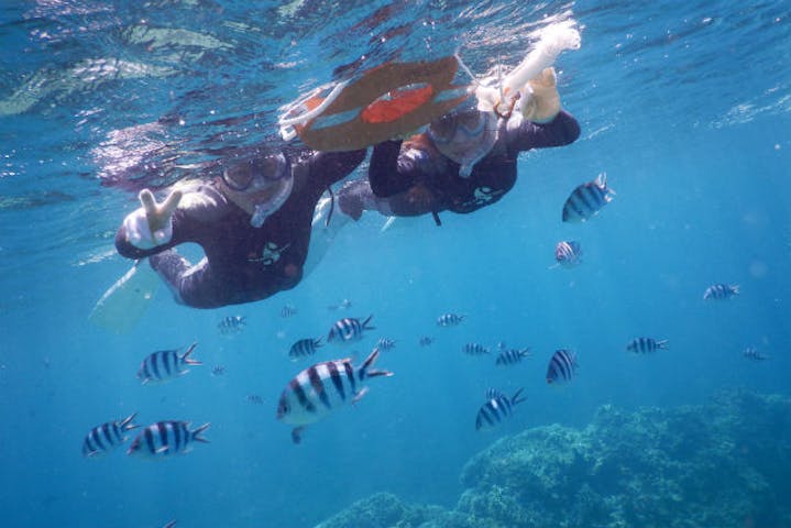 沖縄 石垣島 シュノーケリング 泳げる人も泳げない人も みんな一緒に のんびりツアー 半日 アソビュー