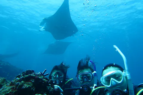 【沖縄・石垣島・ファンダイビング】ダイビング専用船で出かけよう！乗り合い企画ツアー（3ダイブ）