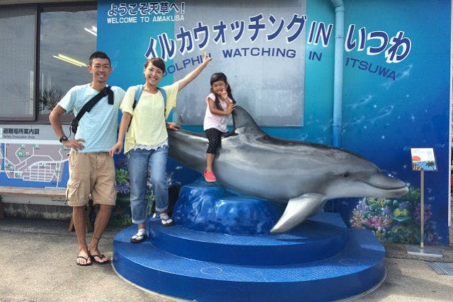 天草観光イルカウォッチング ドルフィンクルーズ｜ネット予約なら