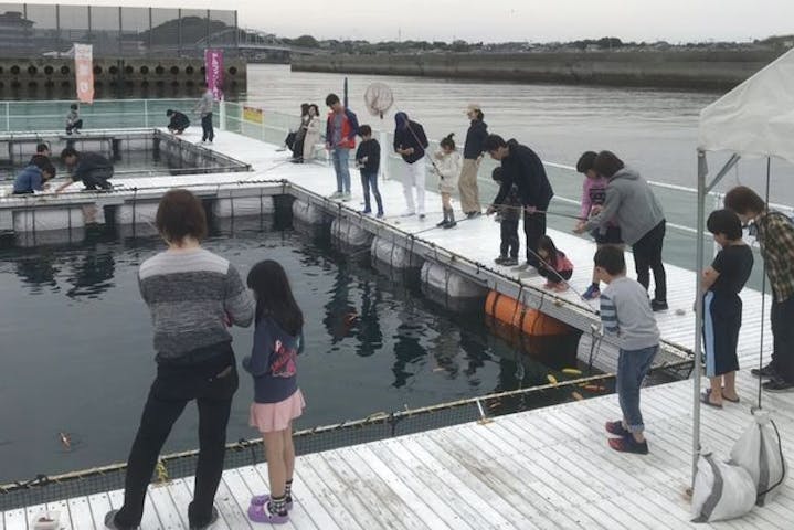 熊本 天草 イルカウォッチング イルカの住む島天草でイルカを見て 釣り堀で釣りもしよう お得な釣り堀セットプラン アソビュー