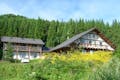会津高原の自然に包まれたアトリエです。高原地帯だから夏もさわやか。