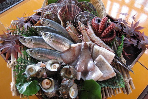 熊本・天草市・イルカウォッチング】遭遇率95％！天草の海の幸を堪能