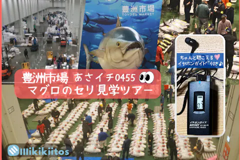 イヤホンガイド®＆小冊子付♪｜豊洲市場 憧れのマグロのセリ見学ツアー あさイチ0455