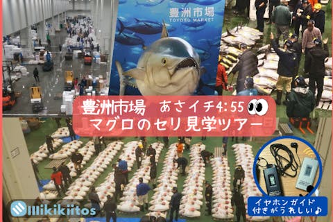【90分でぎゅっと体験・傘不要♪】豊洲市場 憧れのマグロのセリ見学ツアー あさイチ0455 ｜イヤホンガイド®無料貸与♪