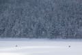 完全結氷した然別湖の上を滑走しましょう！心が洗われるような雪景色が続きます。