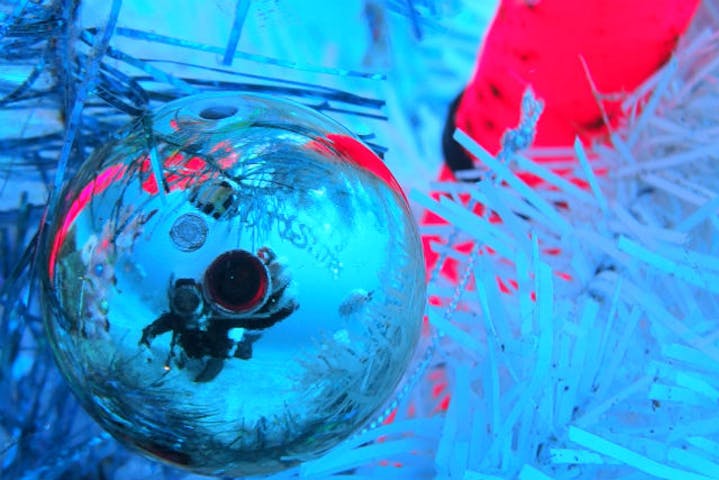 ダイビングサービスmieuxみう