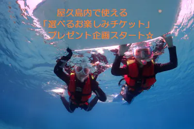 屋久島・ウミガメシュノーケリング】手ぶらでOK！バスタオル・水着も