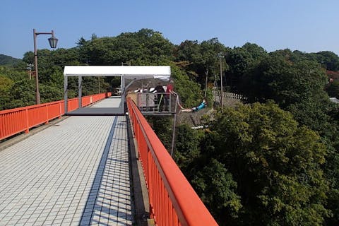 初めての方限定 奈良 三郷町 バンジージャンプ 高さ30メートル アクションカメラレンタル付 アソビュー