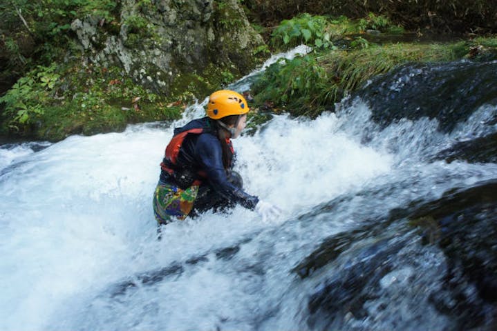ふるさと体験学習協会