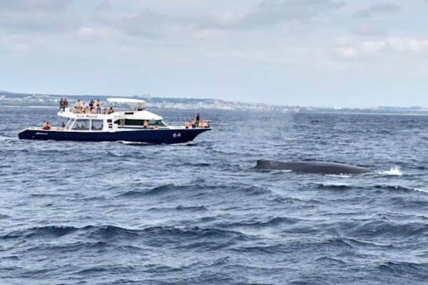 沖縄・北谷発・半日】＼2026年／3月限定！ 57名乗り大型クルーザーを30