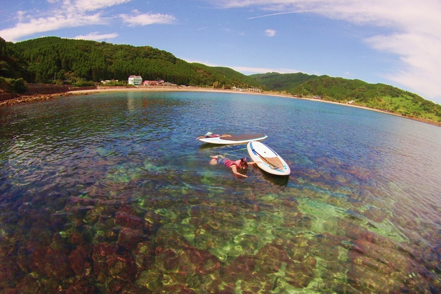 【宮崎・シュノーケル・SUP】1日で海の世界を堪能できる！夏に一番人気のお得ツアー