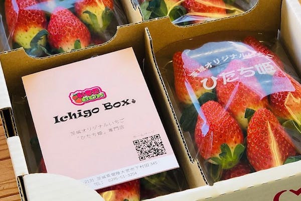 いちごBOX｜ネット予約ならアソビュー！