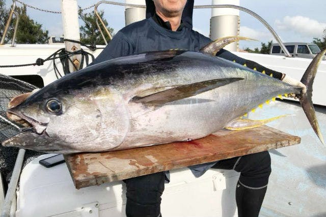 【宮古島・海釣り】手ぶらで釣り人憧れのマグロ釣り！貸切コース｜アソビュー！