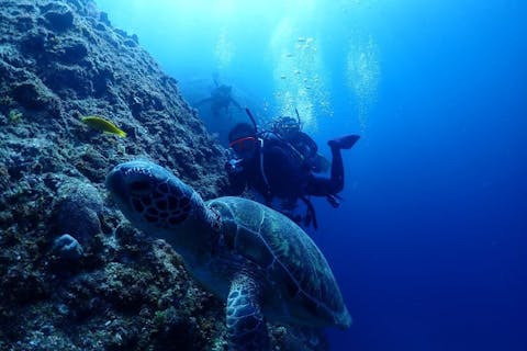 【沖縄・宮古島・ファンダイビング】宮古島の海を1日で潜りつくそう！ファンダイビング（3ボート）