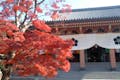 春の桜、秋の紅葉シーズンは特におすすめです。京都をゆっくり巡りましょう。