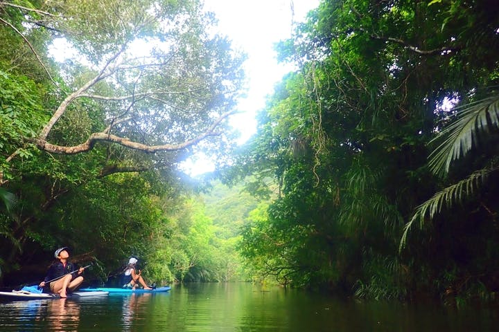 西表島ツアーNGAF（エヌジーエーエフ）