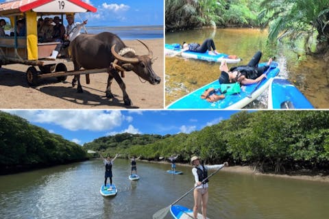 【西表島・SUP】お得な由布島チケット付き！秘境のマングローブSUPと由布島観光（写真データ無料）（1日）