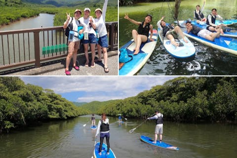 【西表島／半日】「島の認定ガイド」と行くジャングルSUP｜世界自然遺産のマングローブ探検（石垣島日帰りOK／写真・動画データ付／島内送迎あり）女性/カップルにオススメ！