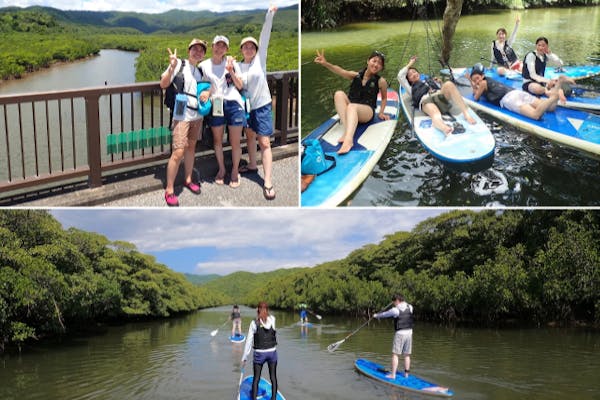 西表島・SUP】新定番！日本最大のマングローブから神秘のジャングルへ